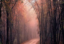 国足战沙特进入冲刺  伊万提醒国脚谨防对手即兴发挥.