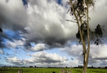 锋无力 浙江绿城摆不平升班马 卡内达念念不忘双重使命 1.