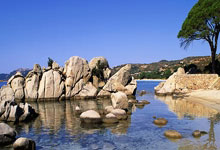 PG电子官网：“篮球运动员参与慈善比赛，支持公益事业”.